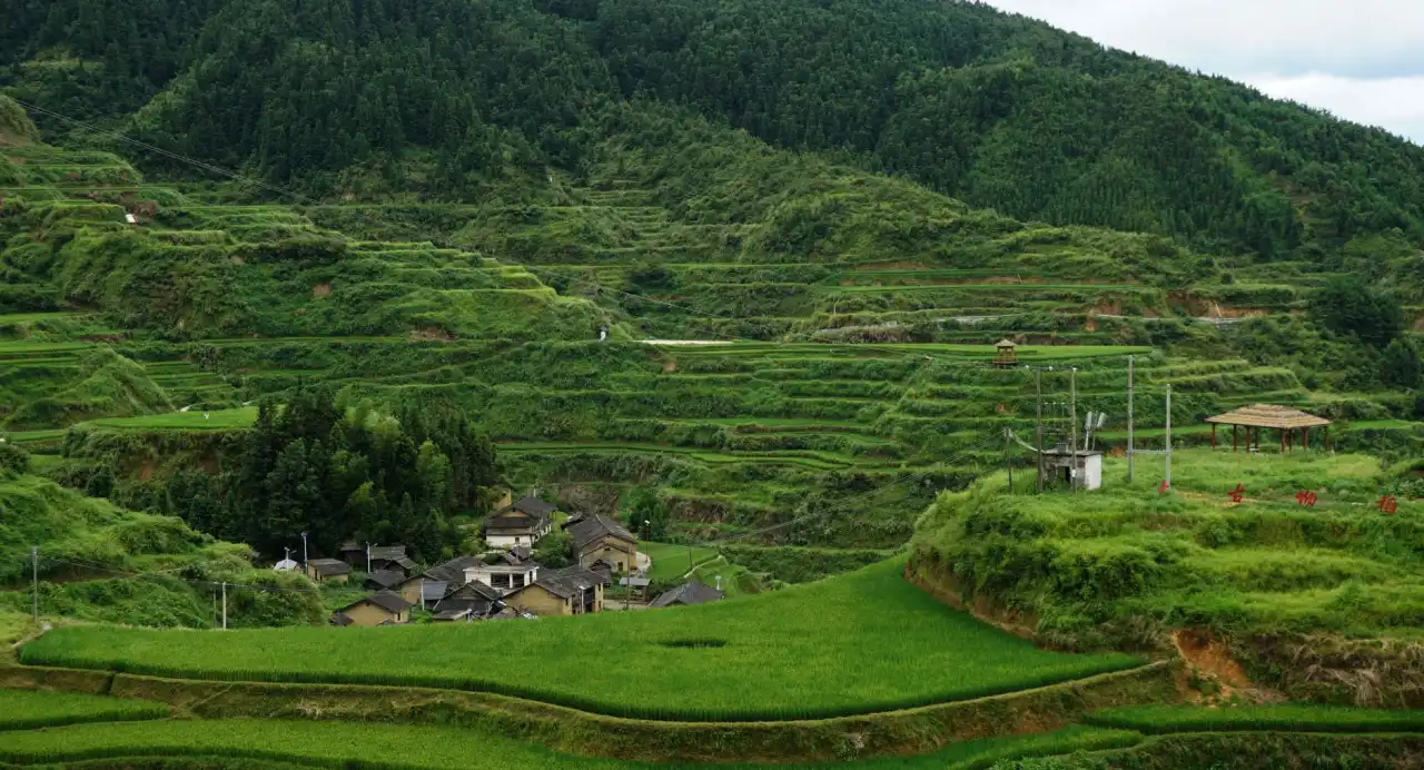 润迅云呼预测拨号器技术架构解析：提升外呼效率的关键设计