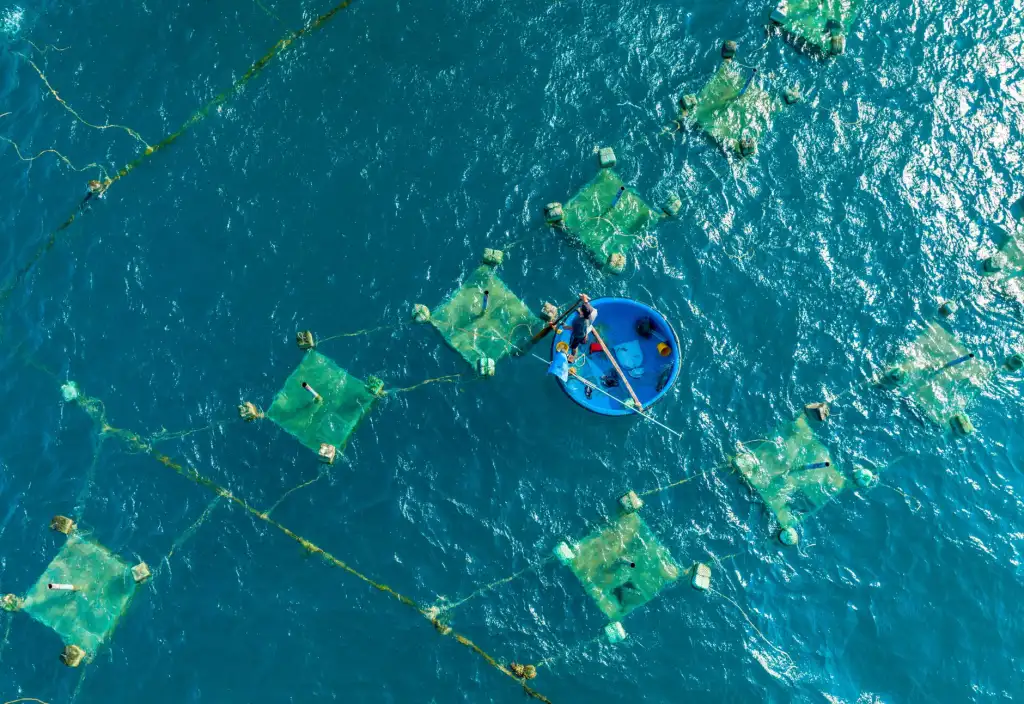 预测拨号器在电销场景中的配置方案与成本控制分析