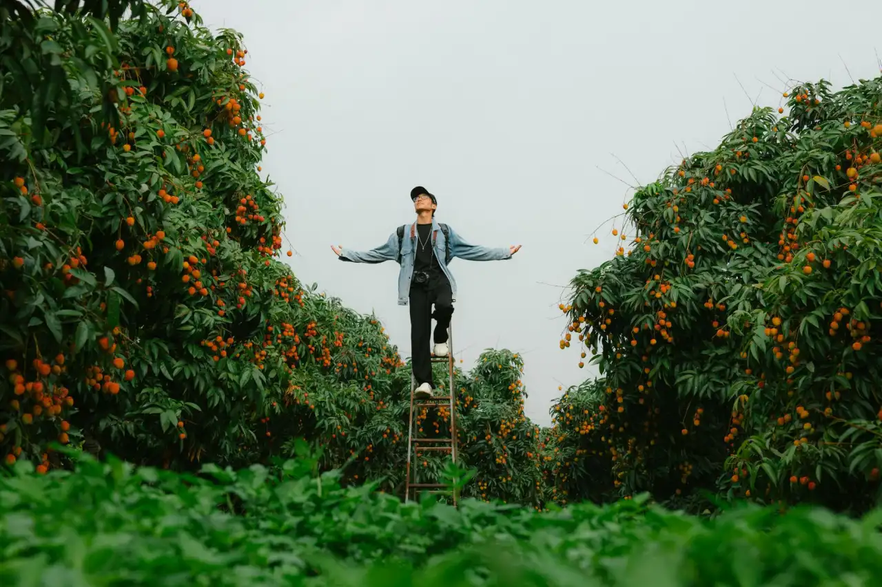 基于保是福品牌的语音广播设备在批量通知场景中的部署方案