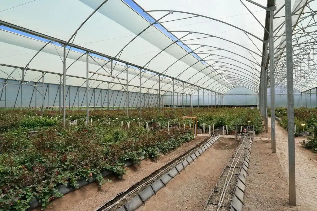 深圳企业传真服务器选型指南：润迅云呼传真系统部署方案解析